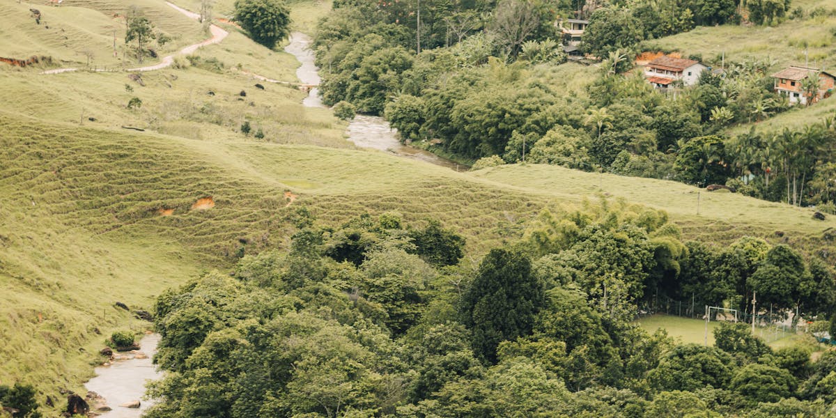 O que é PLR beleza e como funciona